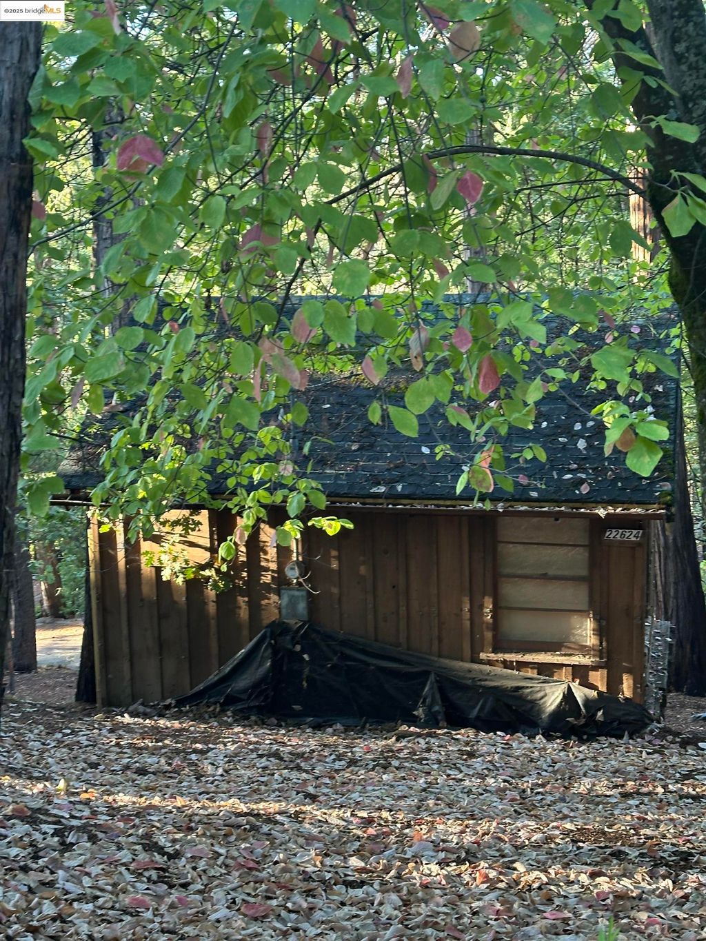 Photo of 22624 Tamarack Dr, Twain Harte, CA 95383 (MLS # 41116397)