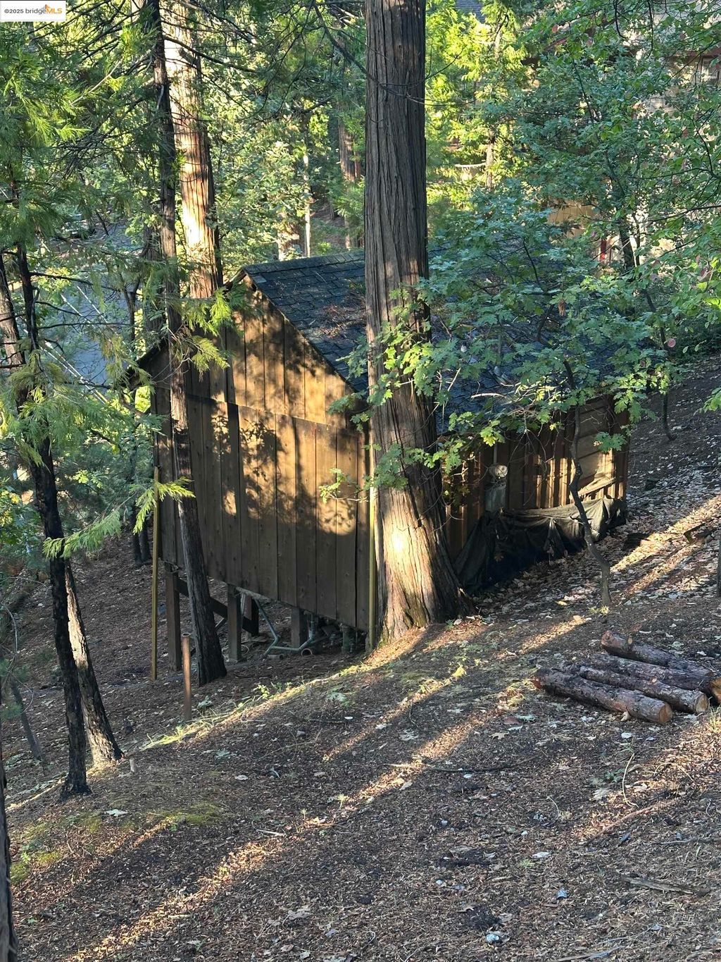 Photo of 22624 Tamarack Dr, Twain Harte, CA 95383 (MLS # 41116397)