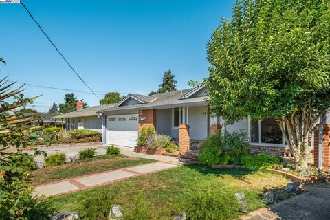 A home in Hayward