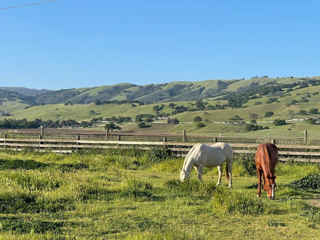 Photo of 3465 Susie Lane, Gilroy, CA 95020 (MLS # ML82039375)