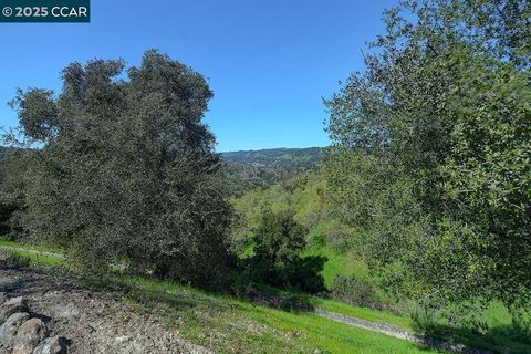 MLS: 41090218