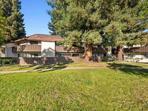 A home in Sunnyvale