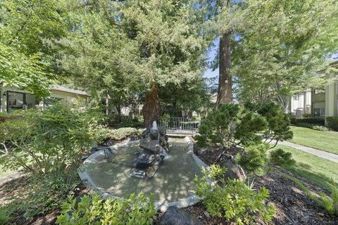 A home in Redwood City