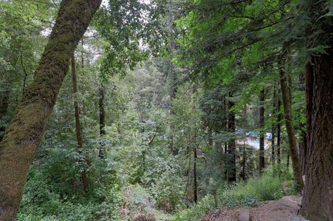 A home in Boulder Creek