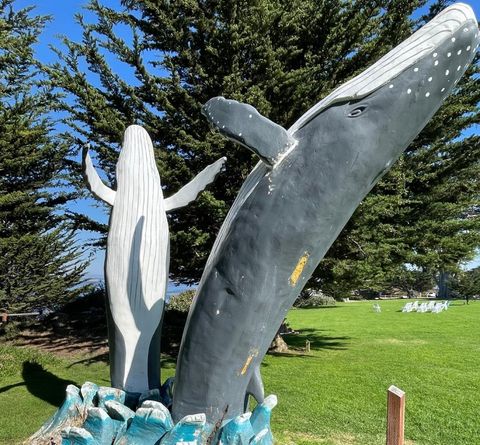 A home in Pacific Grove