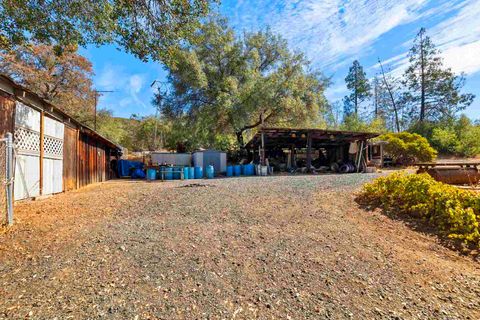 A home in Big Oak Flat