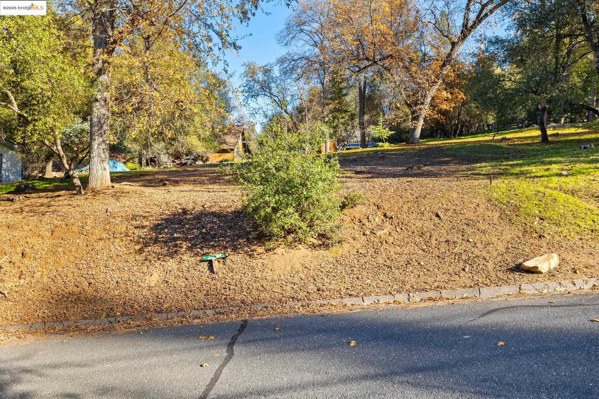 View of yard featuring view of scattered trees