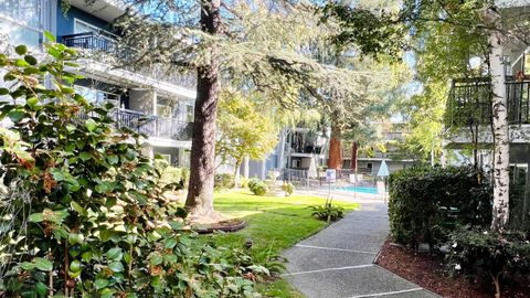 A home in Mountain View