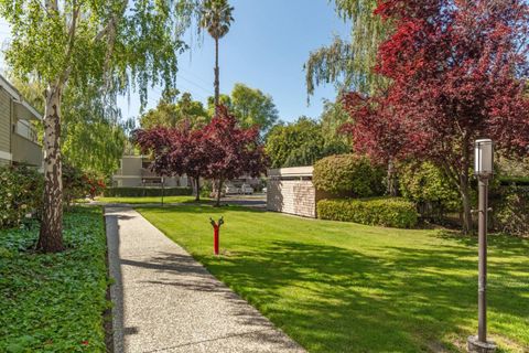 A home in Mountain View