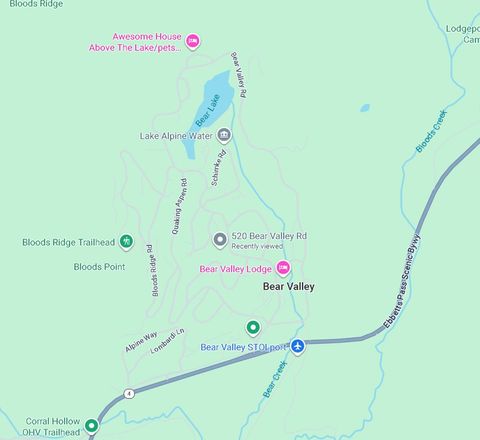 Photo of 116 John Ebbetts Road, Bear Valley, CA 95223 (MLS # ML82028822)