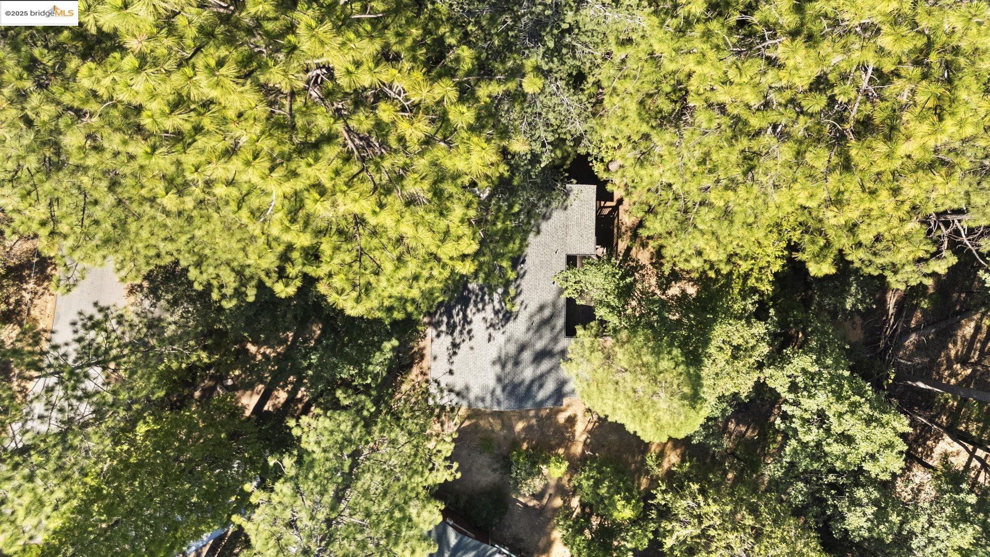 Twain Harte, California 95383, United States, 2 Bedrooms Bedrooms, ,2 BathroomsBathrooms,Residential,Active,169378