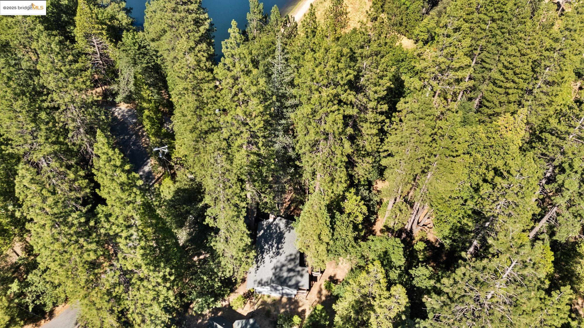 Twain Harte, California 95383, United States, 2 Bedrooms Bedrooms, ,2 BathroomsBathrooms,Residential,Active,169378