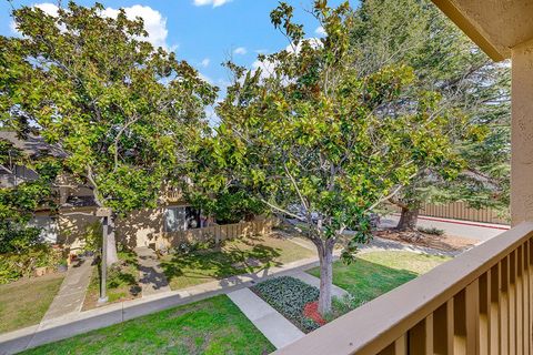 A home in Sunnyvale