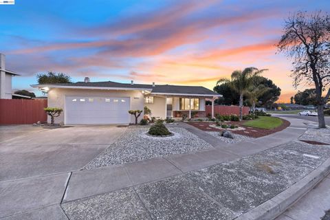 Photo of 6364 Honeysuckle Dr, Newark, CA 94560 (MLS # 41124070)