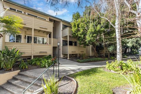 A home in Sunnyvale