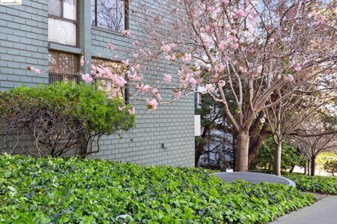 A home in Albany