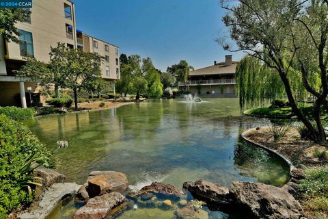 A home in Walnut Creek