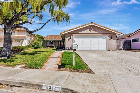 4318 Ellen Way Union City CA 94587