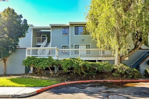 Photo of 3467 Pinewood Ter #202, Fremont, CA 94536 (MLS # 41118141)