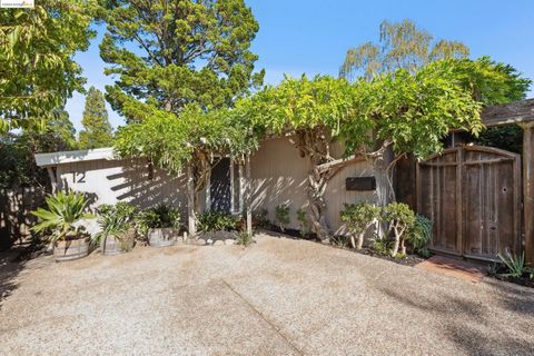 A home in Berkeley