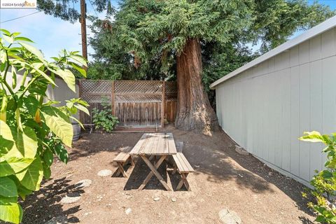 A home in Berkeley