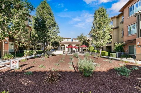 A home in Sunnyvale