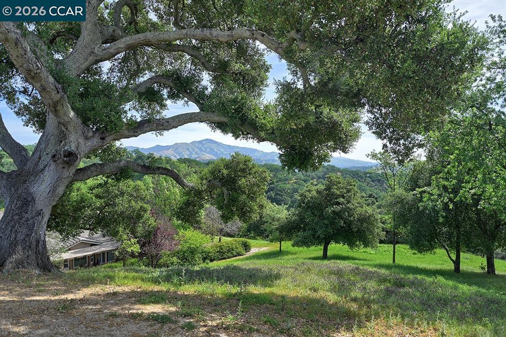 Photo of 532 Spotted Owl Ct, Walnut Creek, CA 94595 (MLS # 41128877)