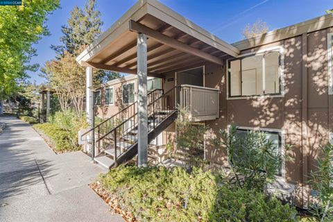 A home in Walnut Creek