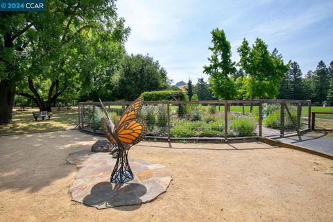 A home in Moraga