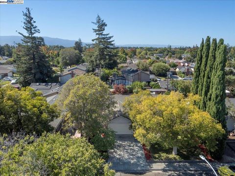 A home in Sunnyvale