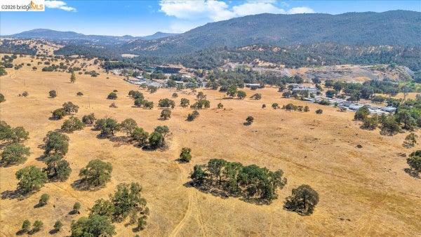 GEORGE REED DR, SAN ANDREAS, CA 95249 - Image 87c28322fa1ebbb2fe142b502d2ef6ae/4249878785