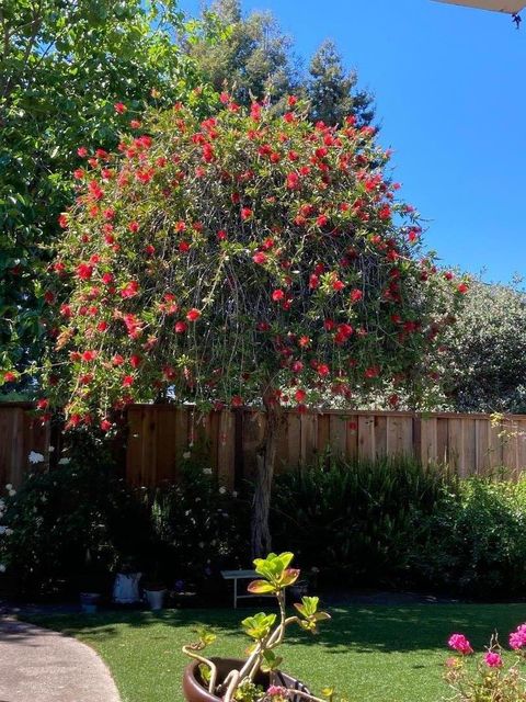 A home in Santa Cruz