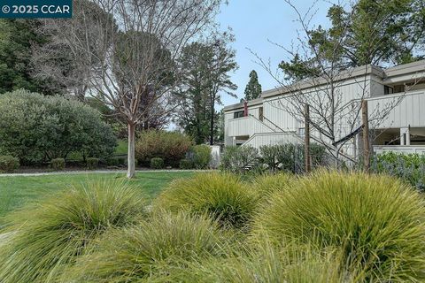 MLS: 41090247