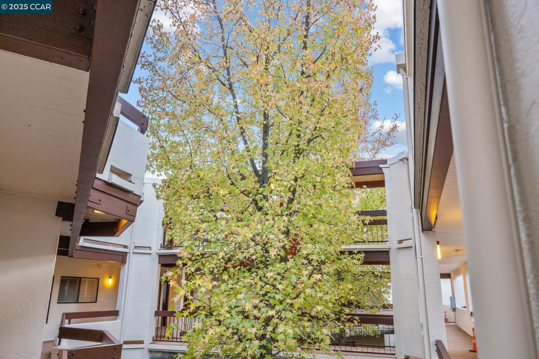 Walnut Creek, California 94595, United States, 2 Bedrooms Bedrooms, ,2 BathroomsBathrooms,Residential,Active,247388