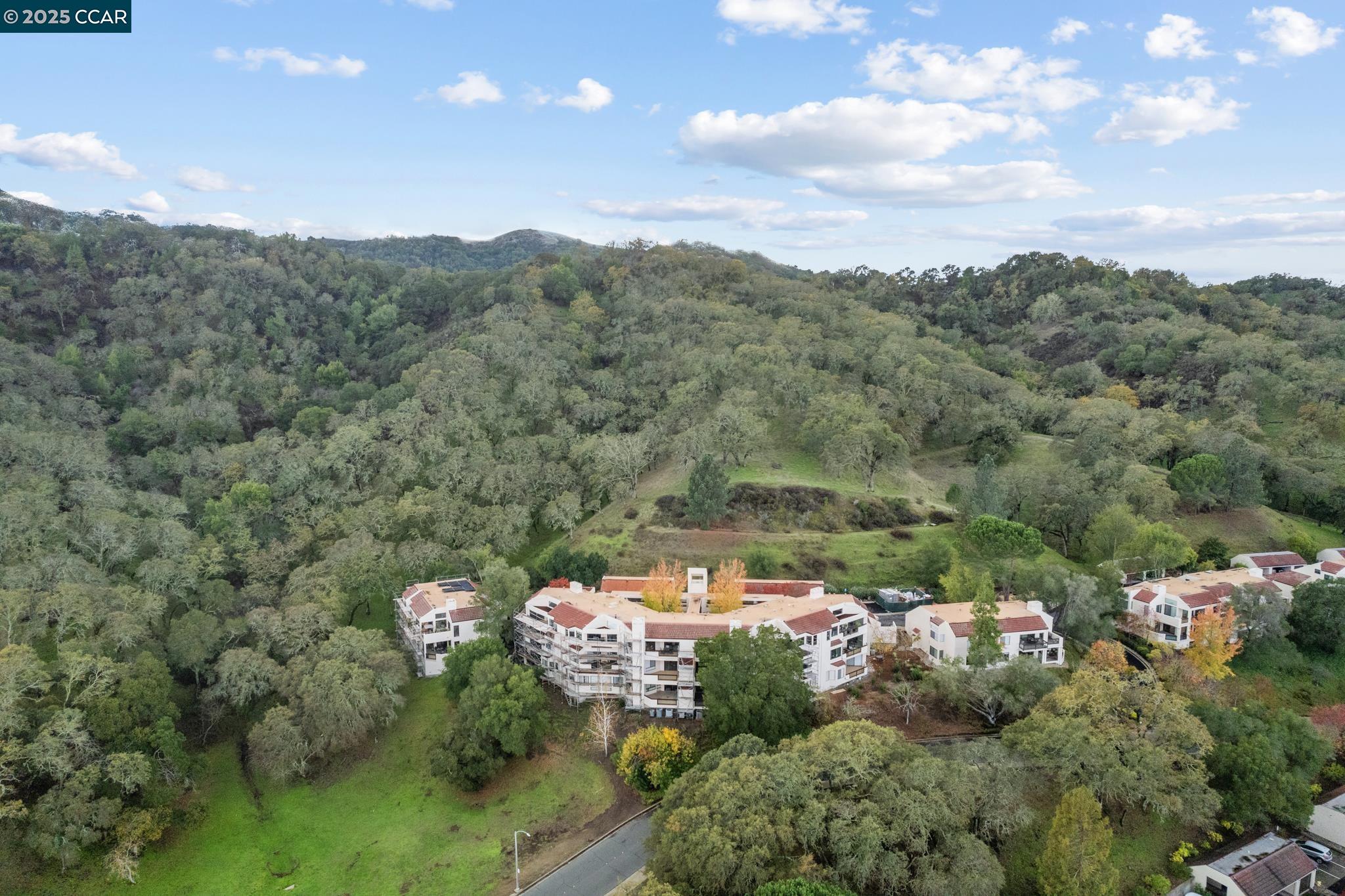 Walnut Creek, California 94595, United States, 2 Bedrooms Bedrooms, ,2 BathroomsBathrooms,Residential,Active,247388