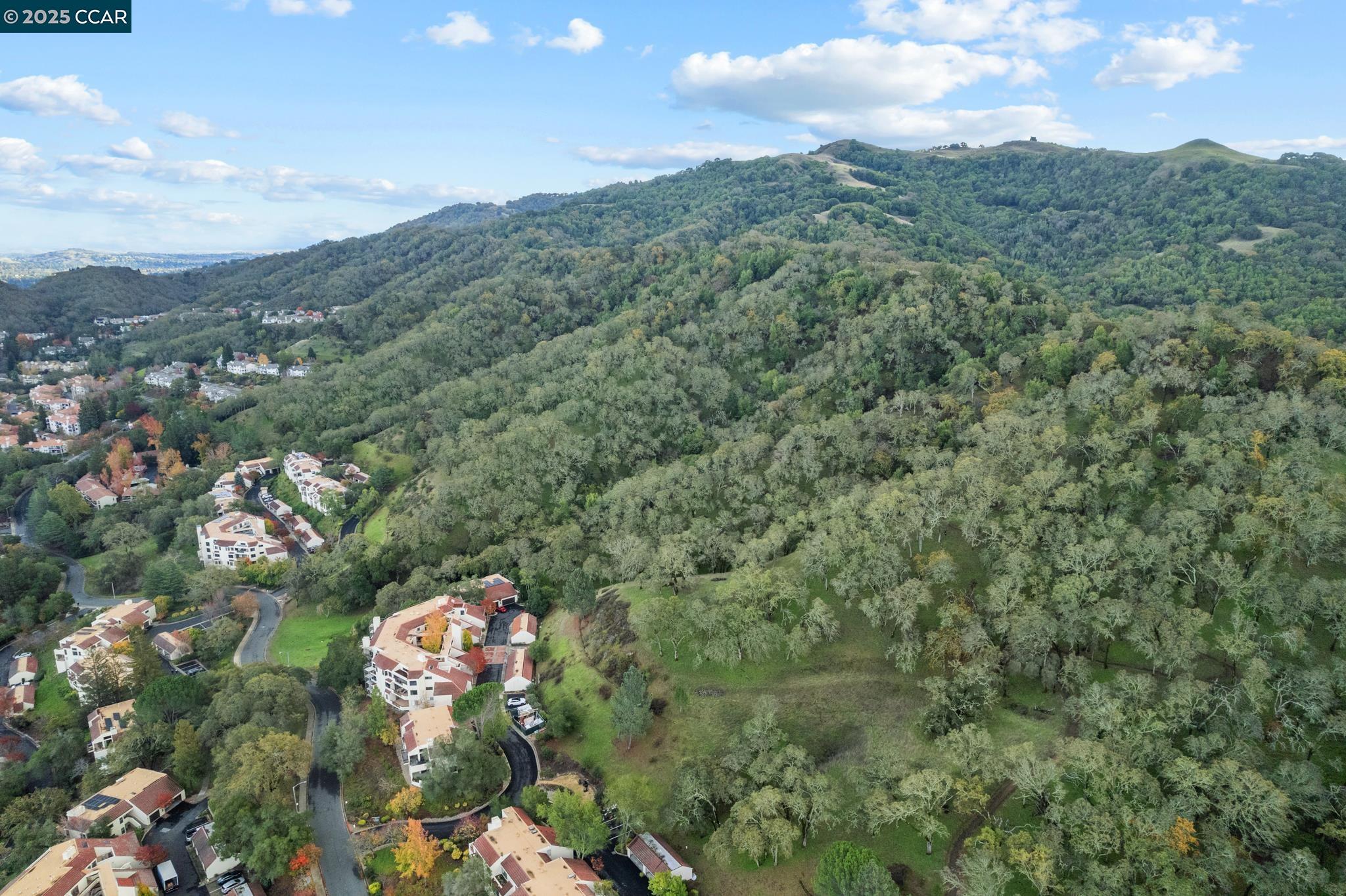 Walnut Creek, California 94595, United States, 2 Bedrooms Bedrooms, ,2 BathroomsBathrooms,Residential,Active,247388