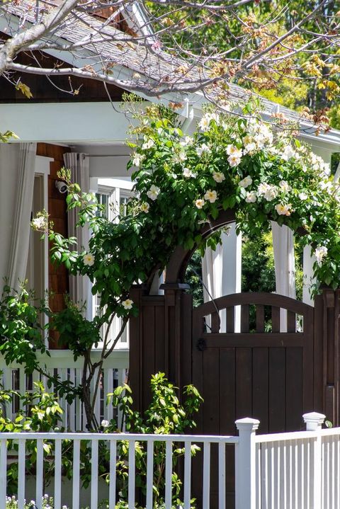 A home in Palo Alto