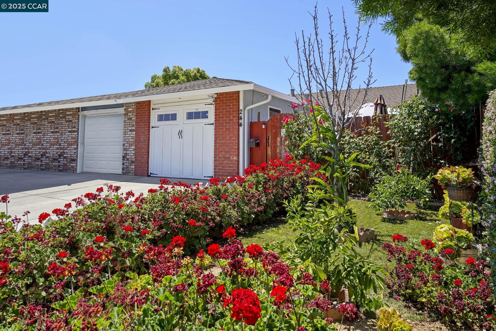 Listing image 1