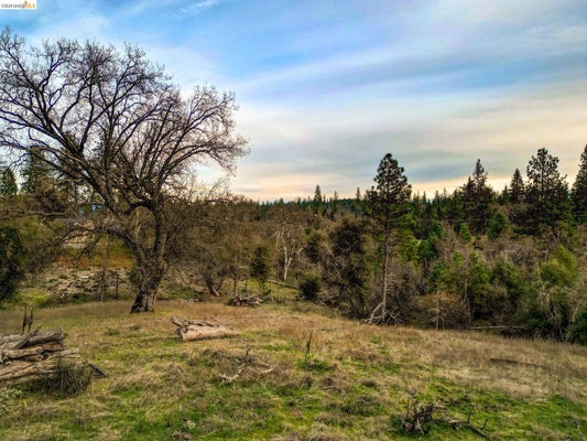 6422 DOGTOWN RD, COULTERVILLE, CA 95311 - Image 8eb2ee3a2c8ffdd5b3028337950c1edb/2769882584