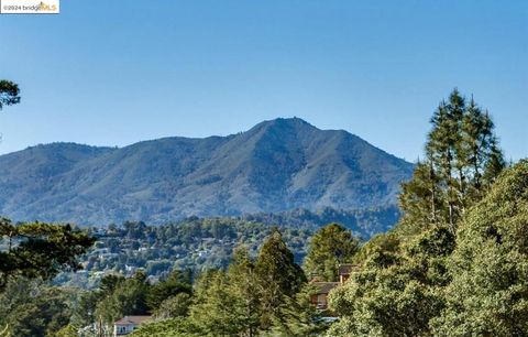 A home in Mill Valley