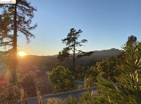 A home in Mill Valley