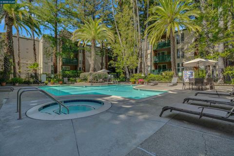 A home in Walnut Creek