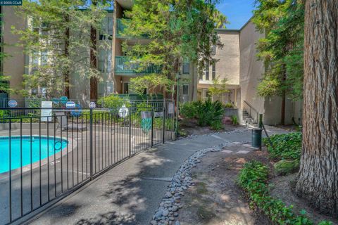 A home in Walnut Creek