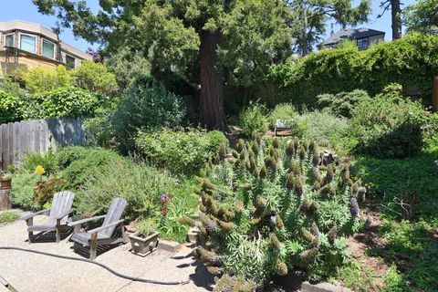 A home in Berkeley