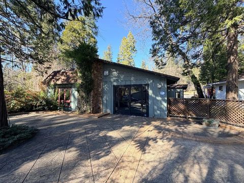 Photo of 23036 Joaquin Gully Rd, Twain Harte, CA 95383 (MLS # 41124125)