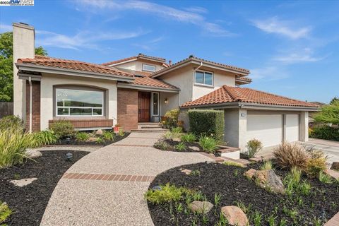 11150 Brittany Ln Dublin CA 94568