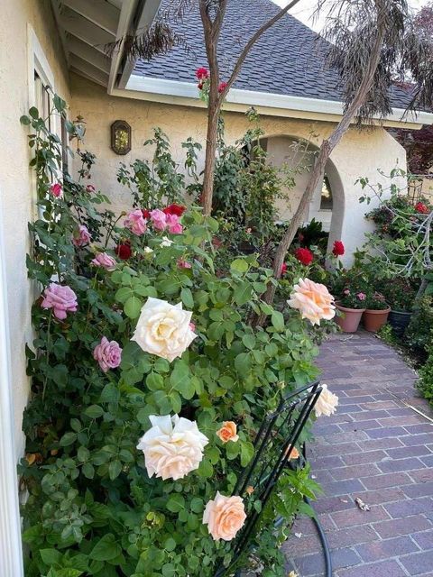 Photo of 6270 Tweedholm Court, San Jose, CA 95120 (MLS # ML82035666)