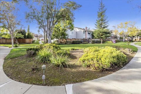 A home in Sunnyvale