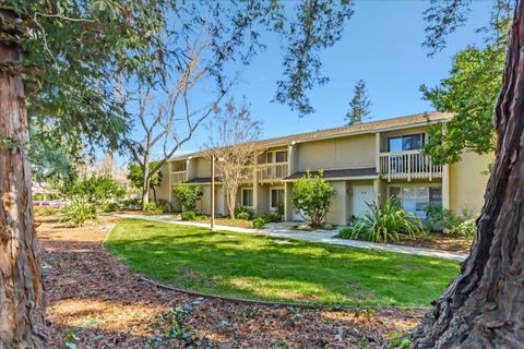 A home in Sunnyvale