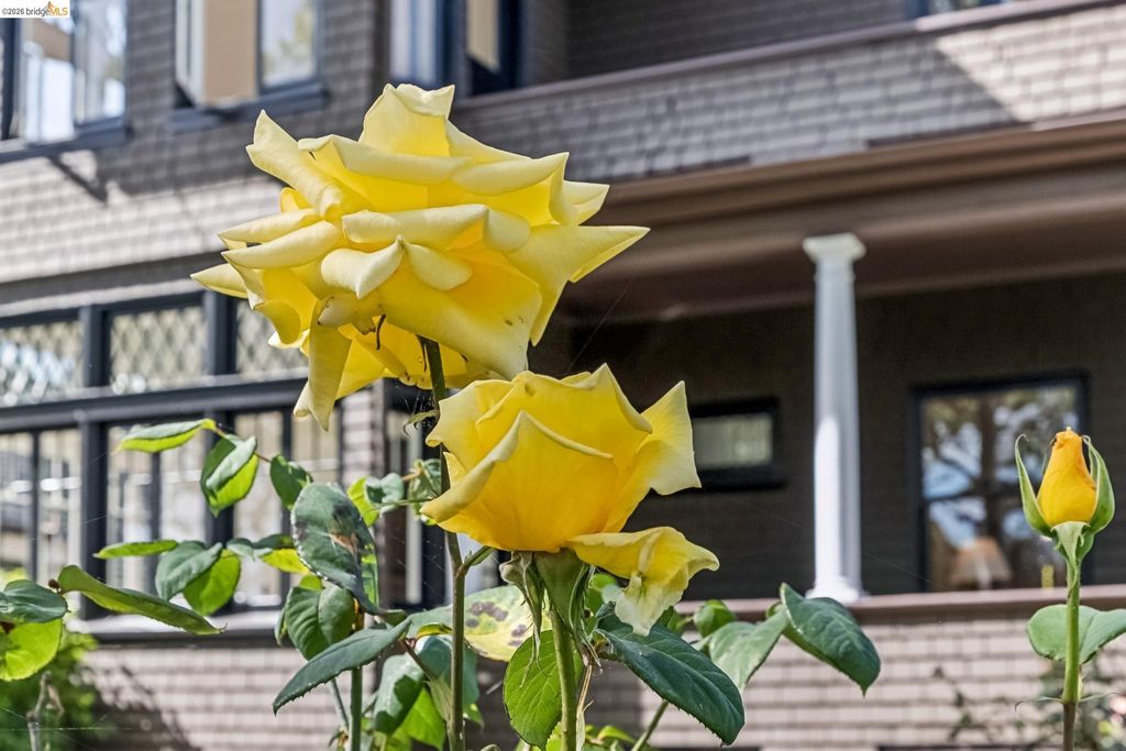 Photo of 1715 Oakland Ave, Piedmont, CA 94611 (MLS # 41128872)